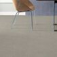 Philadelphia Basic Rules Carpet in Platinum, , large