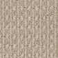 Anderson Tuftex Moondance Carpet in Bungalow, , large
