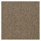 Shaw Capital III Carpet in Election, , large