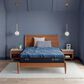 Serta iSeries NXG 2500 Hybrid Plush Twin XL Mattress, , large