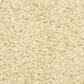 Masland Shangri La Too Carpet in Garden of Eden, , large
