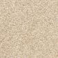 Dixie Home Natural Beauty Carpet in Mocha, , large