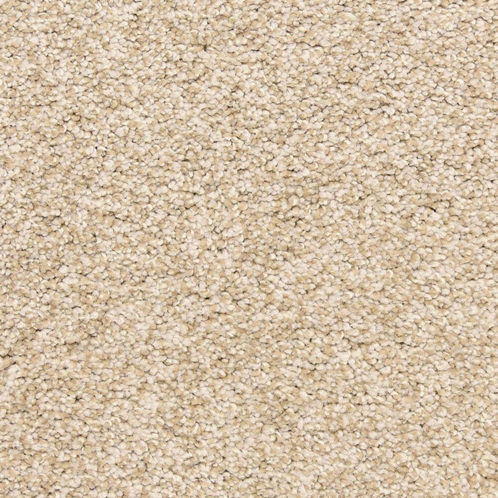 Dixie Home Natural Beauty Carpet in Mocha, , large