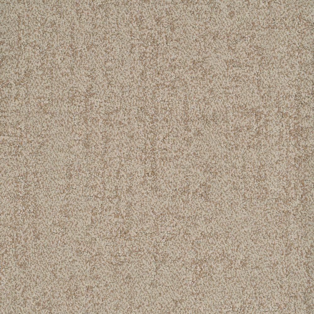 Dixie Home Genuine Carpet in Aboveboard, , large