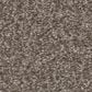 Shaw You Got This I Carpet in Cobblestone, , large