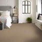 Shaw Clever Design Carpet in Worn Path, , large