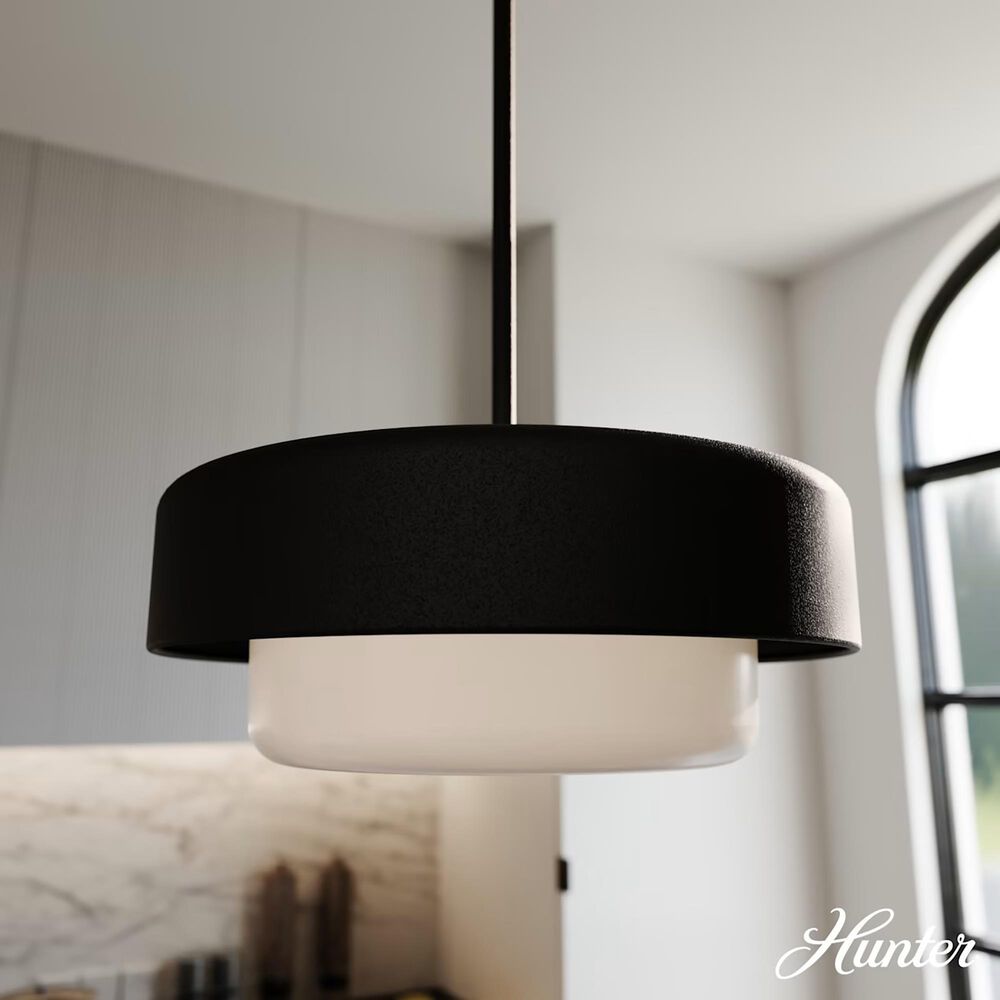 Hunter Station 2-Light Pendant in Natural Iron, , large