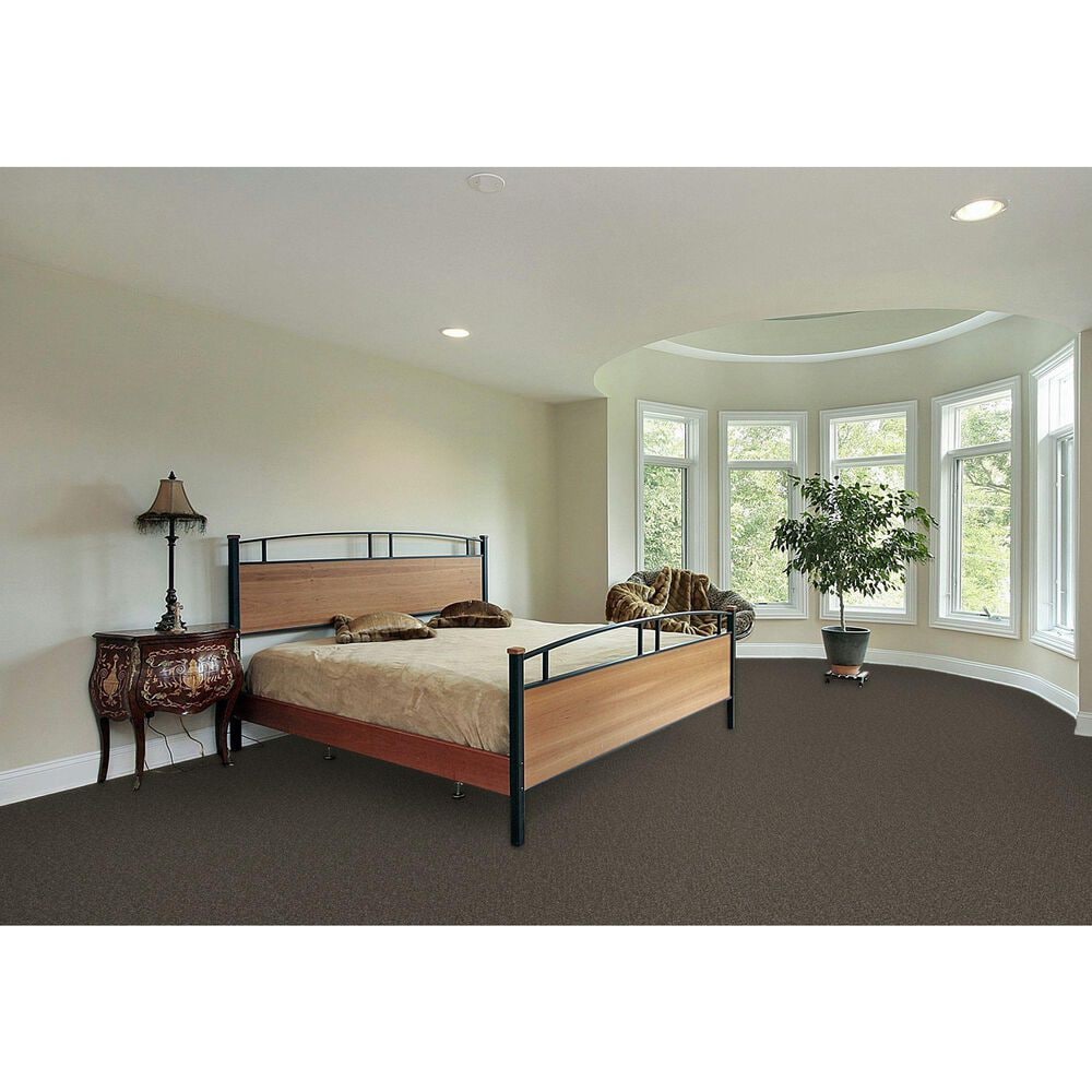 Dream Weaver Royale II Carpet in Rugby, , large