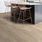 Shaw Endura Plus Spalted Maple 7" x 48" Luxury Vinyl Plank, , large