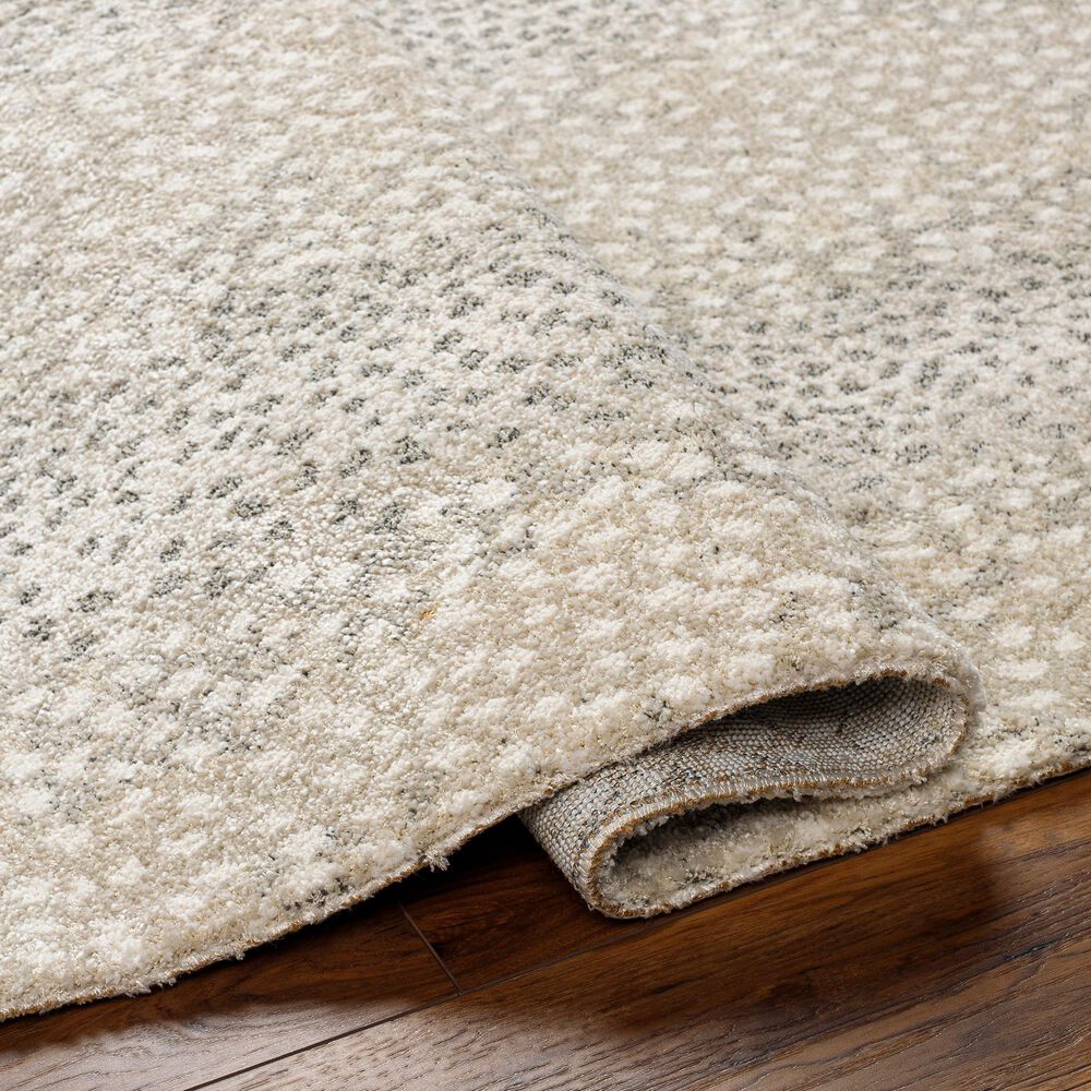 Surya Gavic 2&#39; x 3&#39; Light Grey Area Rug, , large