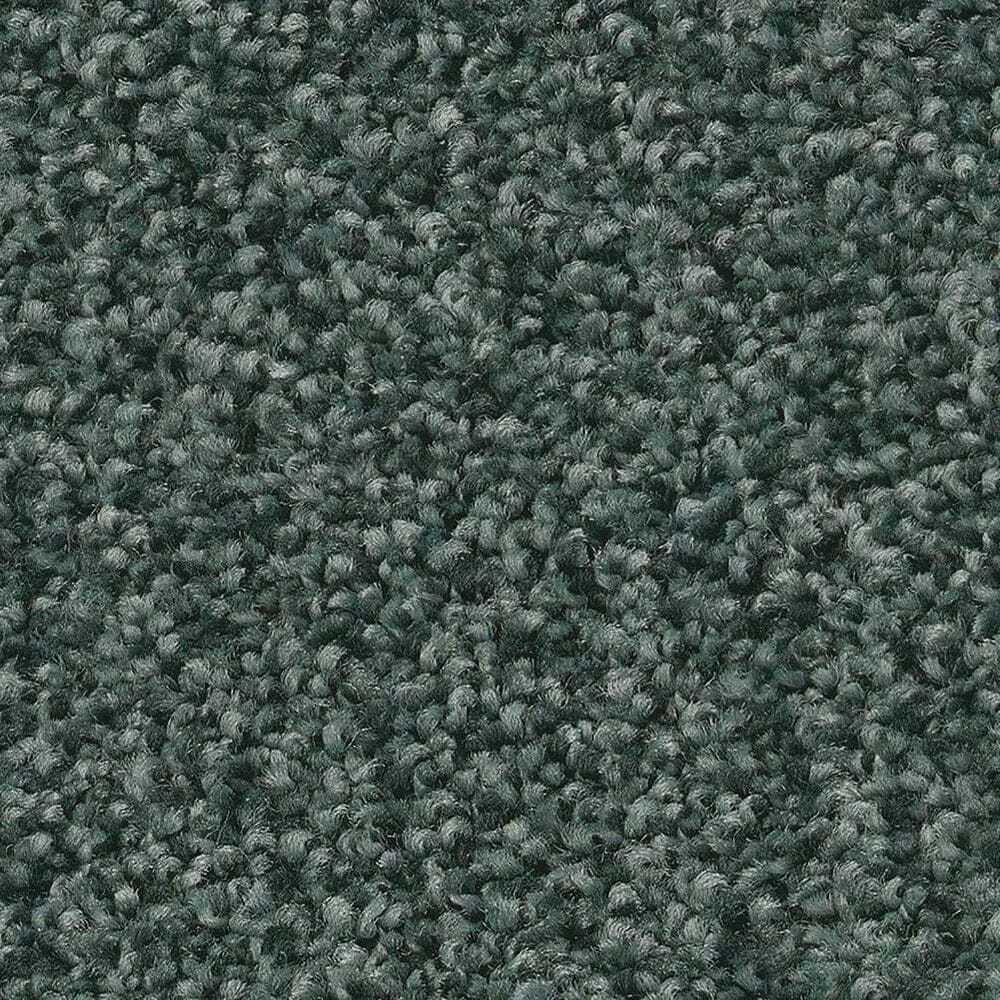 Shaw Tonal Comfort Ii Carpet in Bold Moves, , large