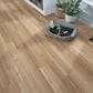 Mohawk SolidTech Essentials Arbor Terrace Hartley 7" X 48" Luxury Vinyl Plank, , large