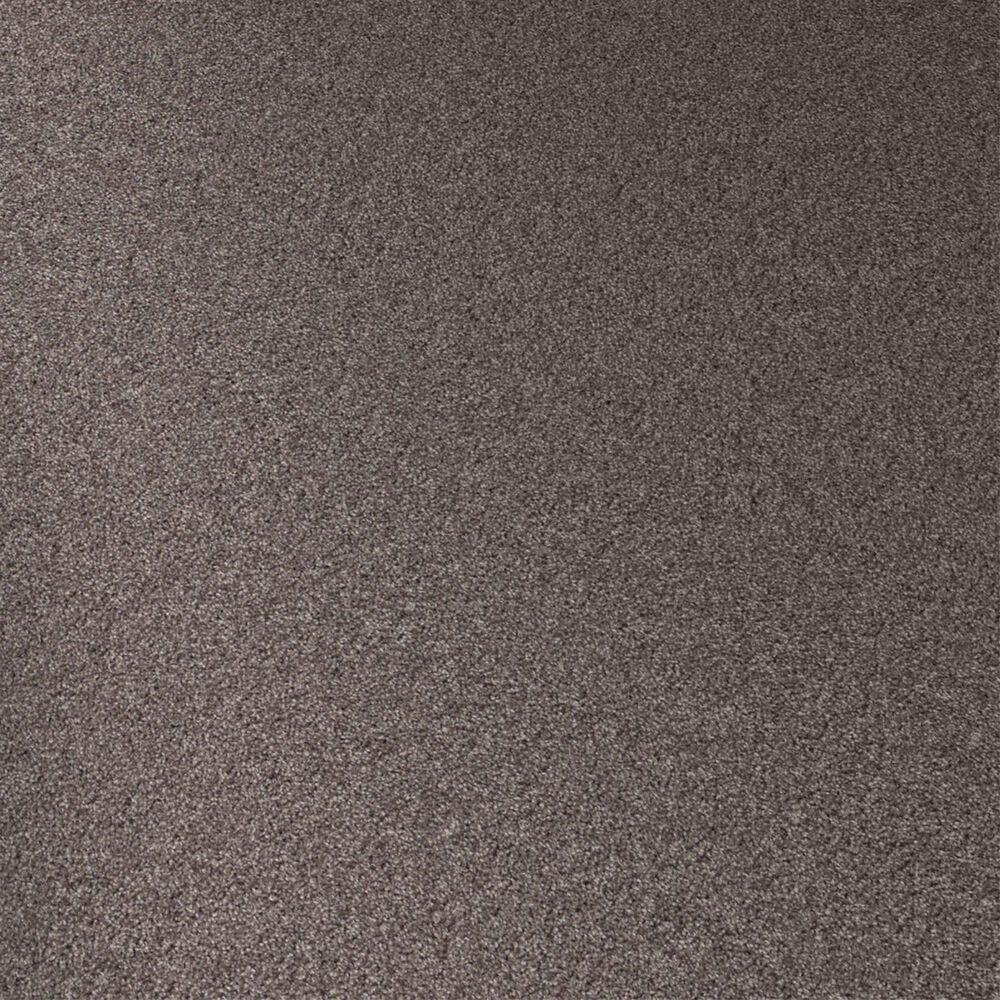 Shaw Agility Carpet in Hammerhead, , large