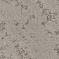 Shaw Sincere Focus Carpet in Mushroom, , large