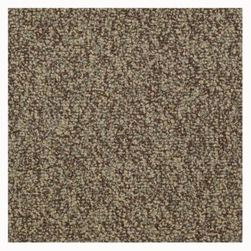 Shaw Sound Advice Carpet in Do the Work, , large
