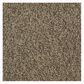 Shaw Sound Advice Carpet in Do the Work, , large