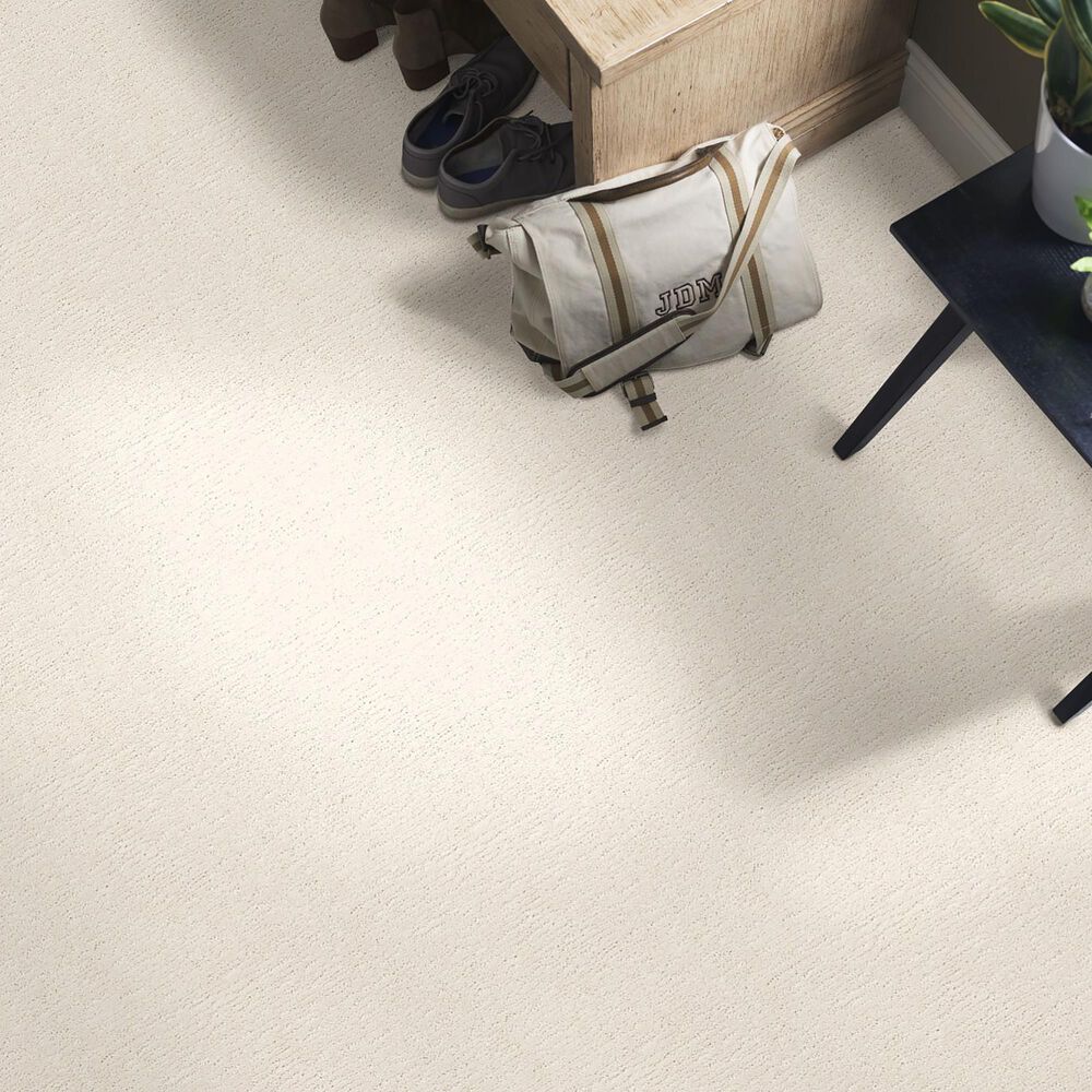 Anderson Tuftex Contour Carpet in Aria, , large