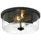 Golden Lighting Rayne Flush Mount in Matte Black, , large