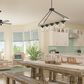 Hunter Devon Park 5-Light Linear Chandelier in Onyx Bengal and Barnwood, , large