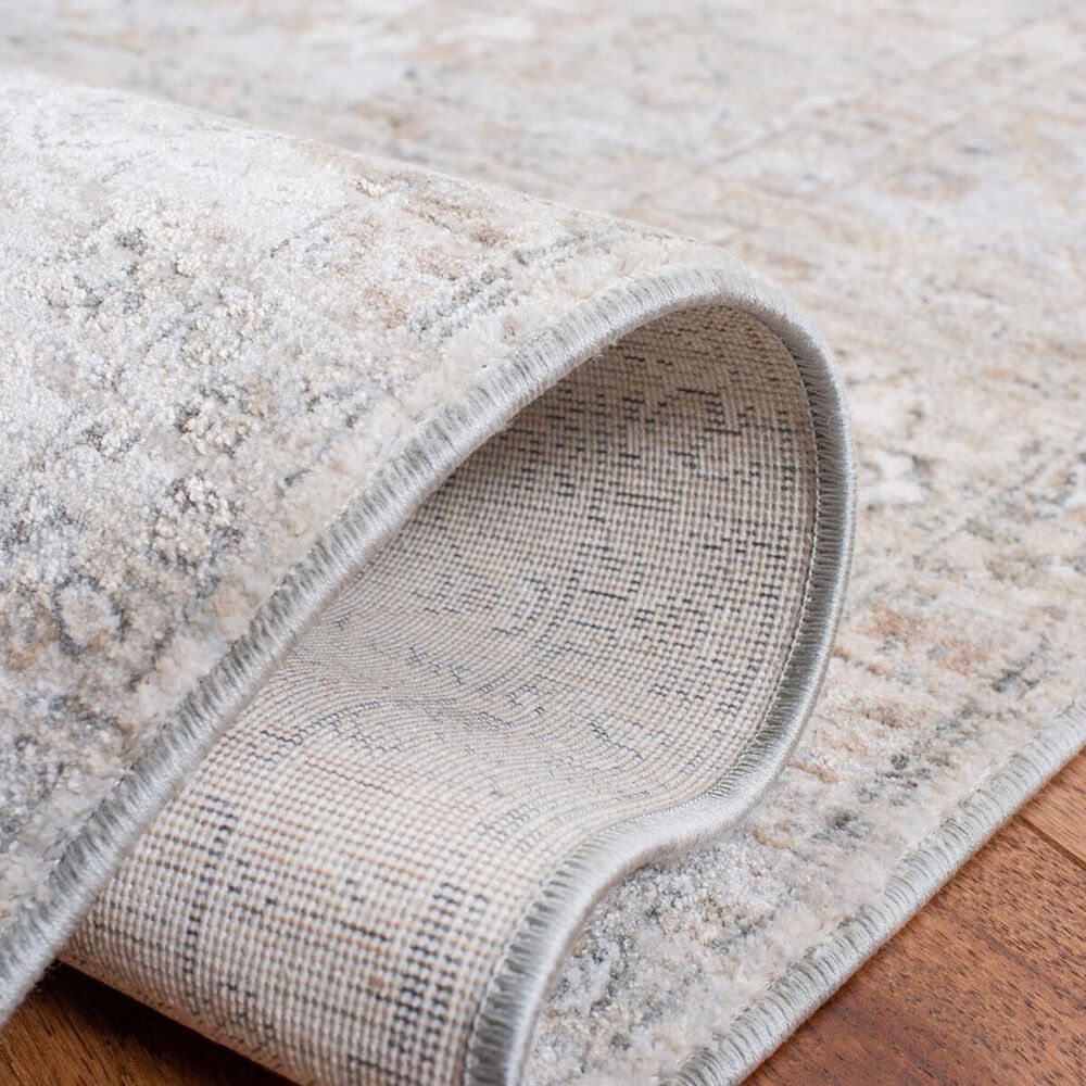 Safavieh Webster WBS322G 4&#39; x 6&#39; Grey and Beige Area Rug, , large