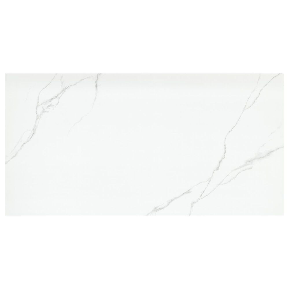 Emser Duchessa Silver 24" x 24" Matte Porcelain Tile, , large