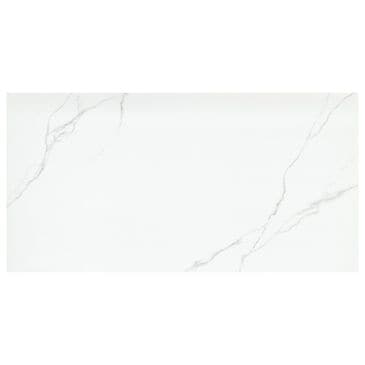 Emser Duchessa Silver 24" x 24" Matte Porcelain Tile, , large