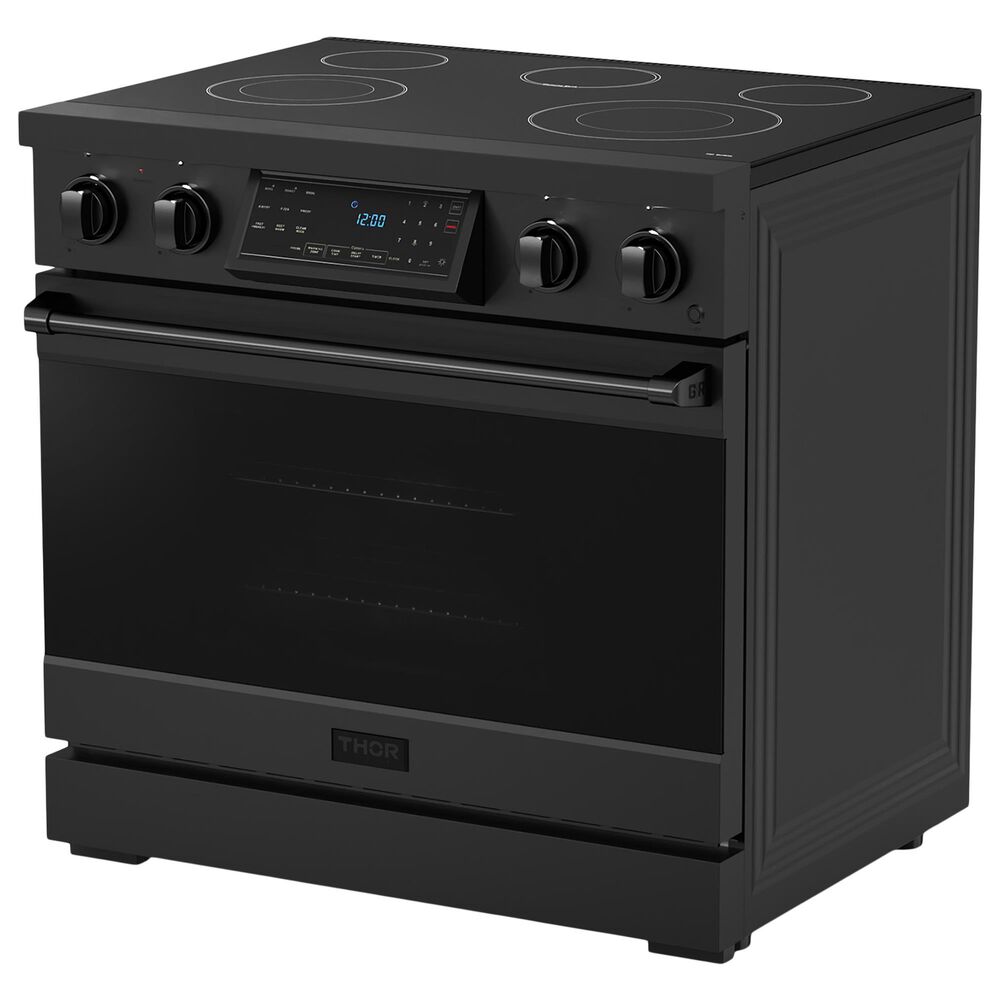 Thor Kitchen Gordon Ramsay 6 Cu. Ft. Professional Electric Range in Black, , large