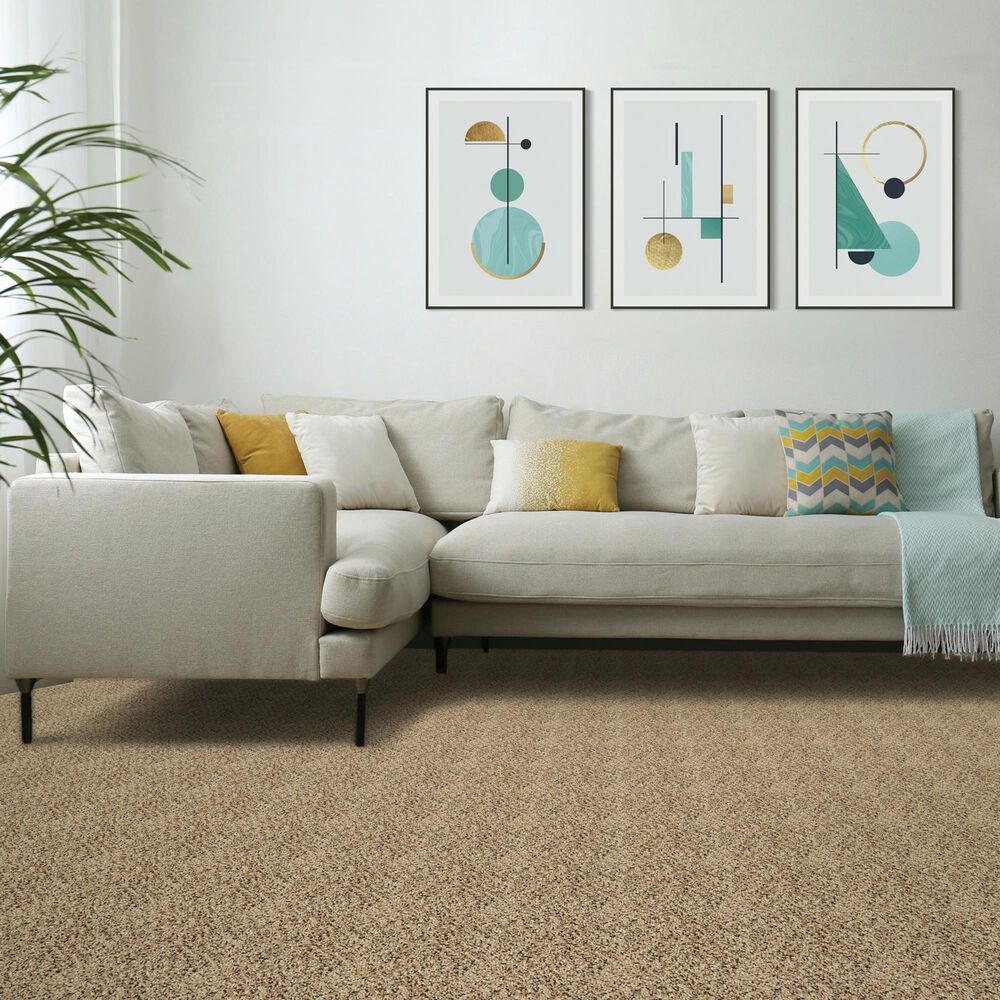 Mohawk Assorted Elements II Carpet in Fowler, , large