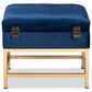 Baxton Studio Aliana Storage Ottoman in Navy Blue/Gold, , large