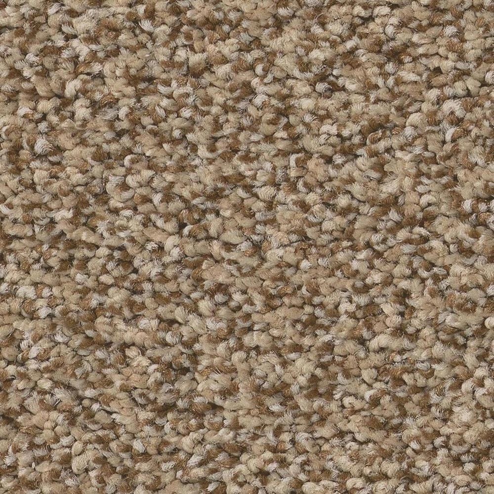 Anderson Tuftex Avalon Bay Carpet in Toasty, , large