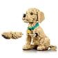 LEGO Golden Retriever Puppy Building Set, , large