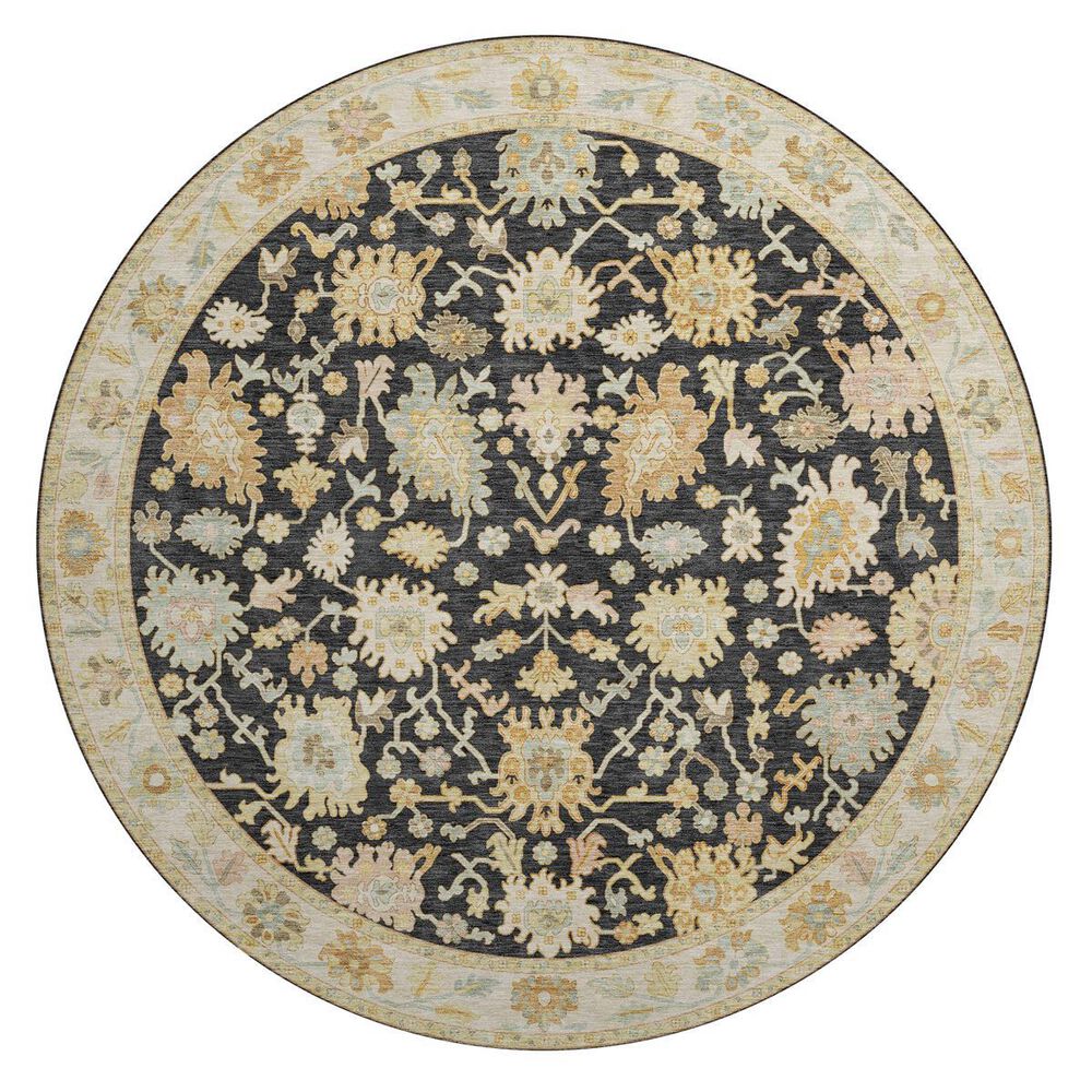 Dalyn Rug Company Hatay HY2 8" Round Black Area Rug, , large