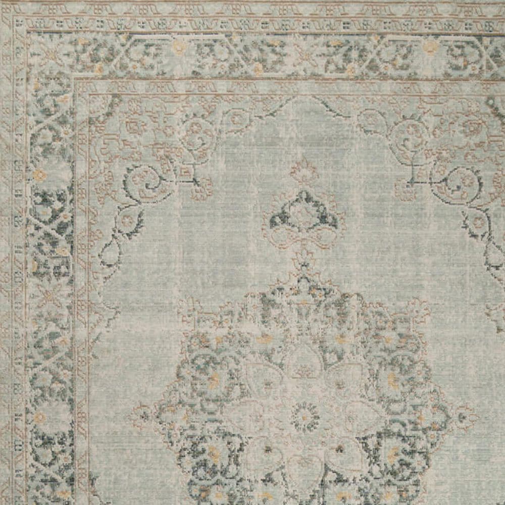 Amer Rugs Century 2&#39; x 3&#39; Sea Mist Area Rug, , large