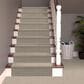 Masland Wonderwall Carpet in Charming, , large