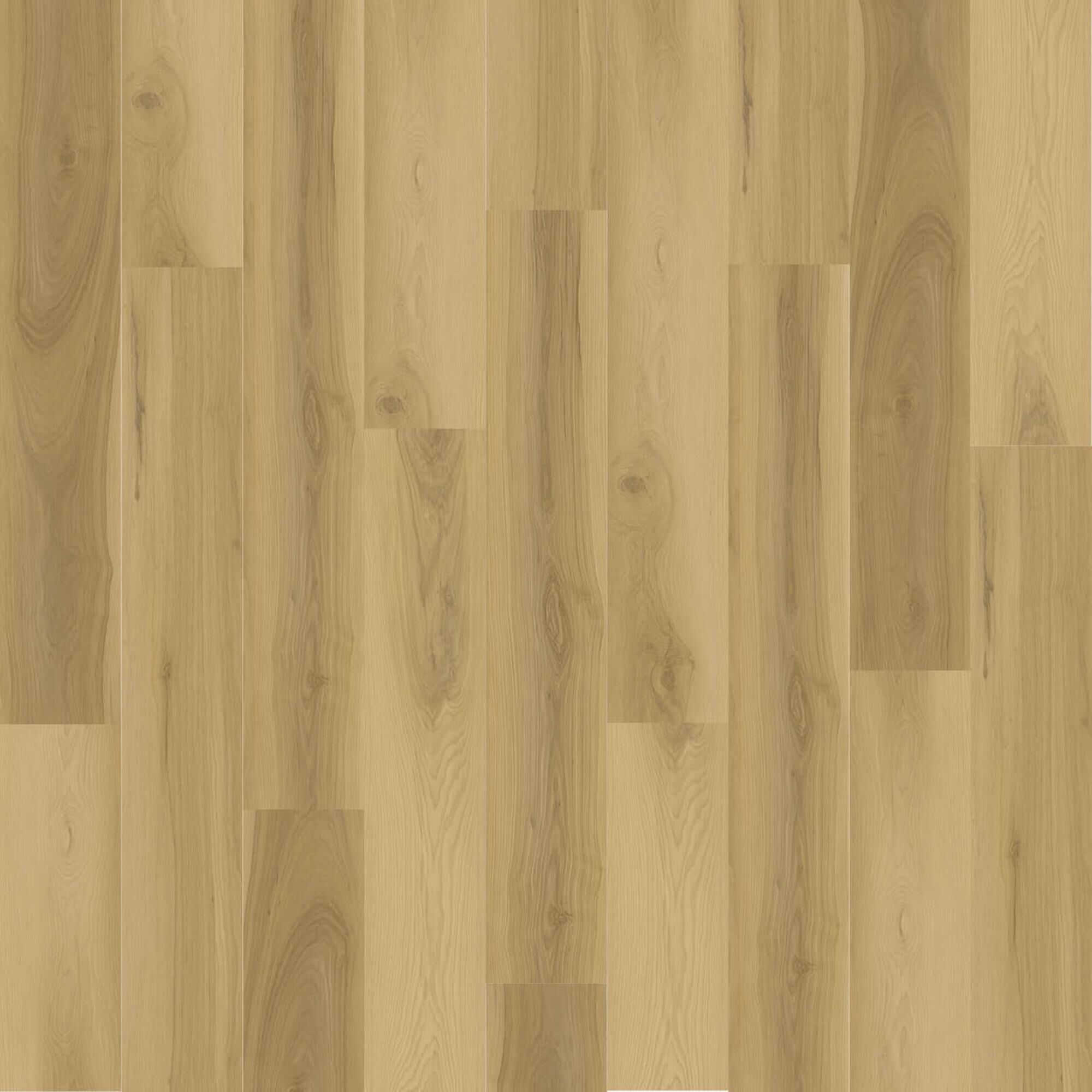 7960760-1.jpg?sw=1000&sh=1000&