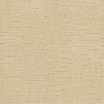 Dixie Home Courage Carpet in Jackpot, , large