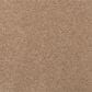 Mohawk Luxuriant Life Carpet in Halo, , large