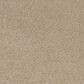 Karastan Magnetism Carpet in Almond, , large