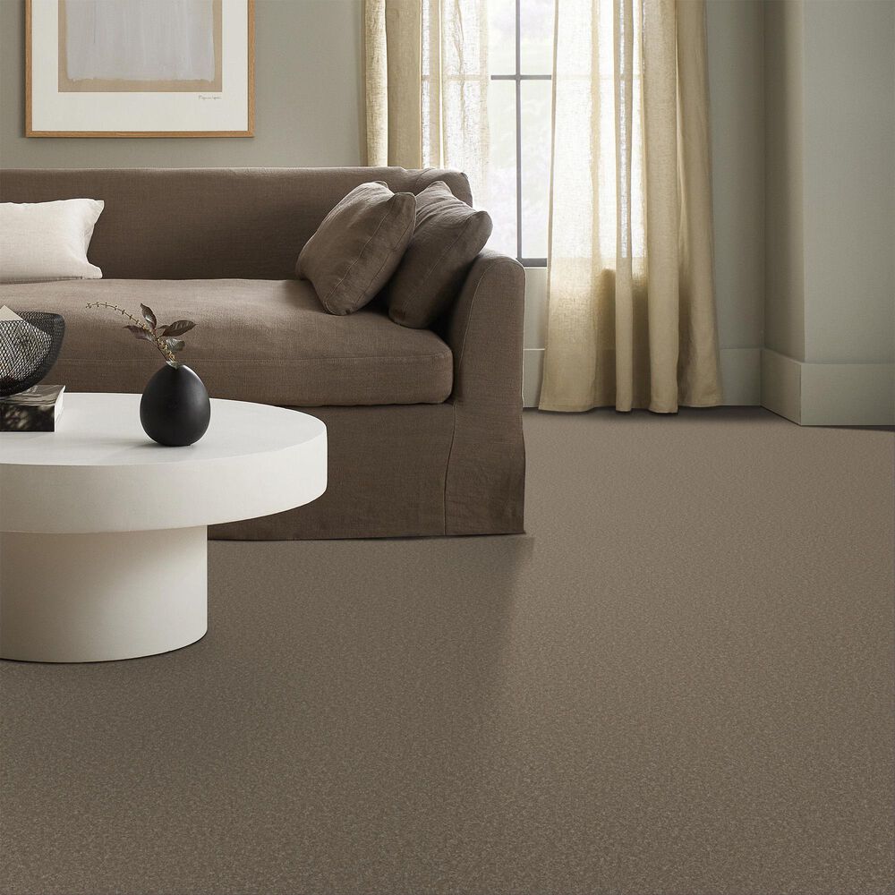 Shaw Bold Move Plus Carpet in Boardwalk, , large