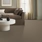Shaw Bold Move Plus Carpet in Boardwalk, , large