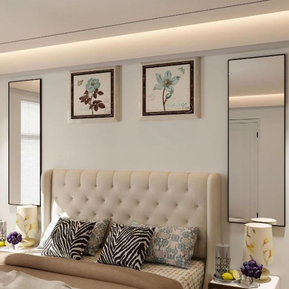 HOMLUX 14" x 48" Door Wall Mount Mirror in Black, , large