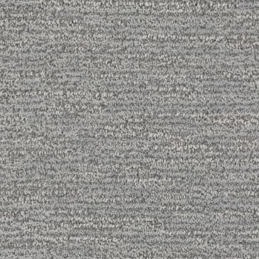 Dixie Home Quietly Carpet in Mellow, , large