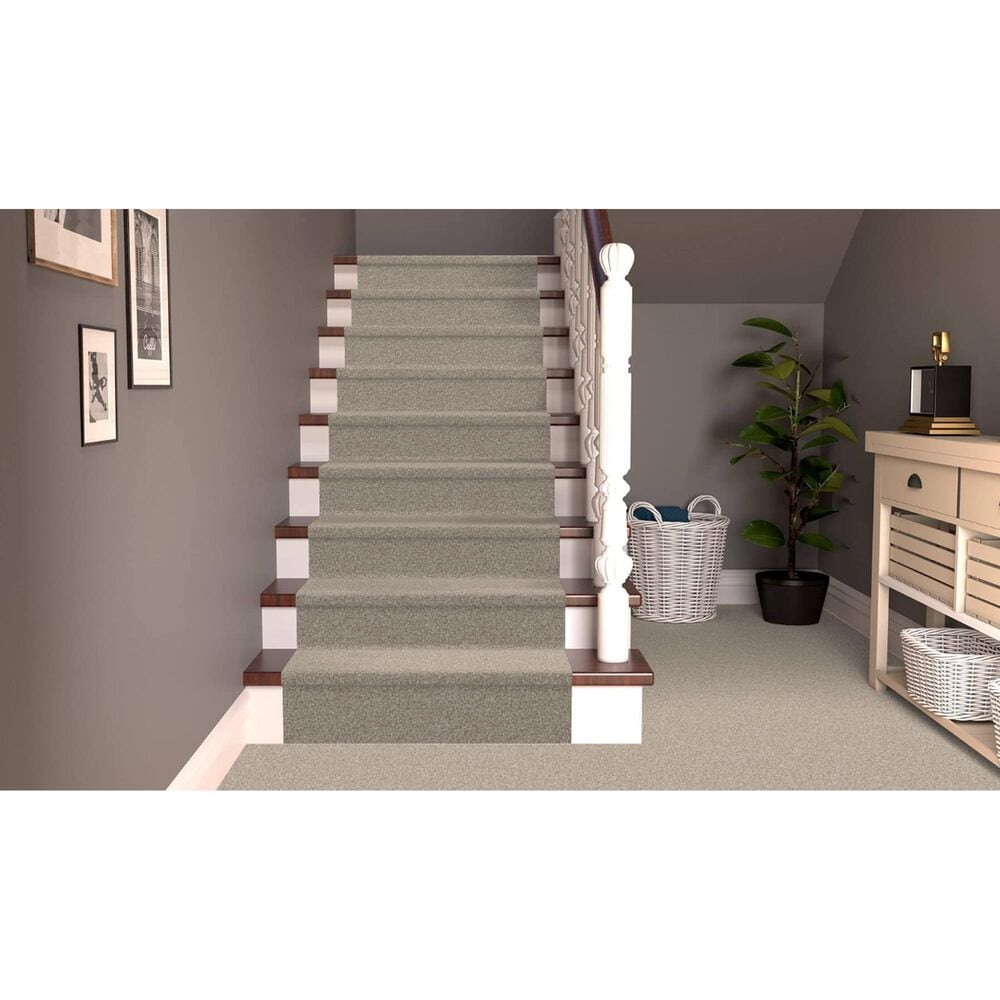 Dixie Home Bella Carpet in Shar-Pei, , large