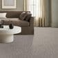 Anderson Tuftex Trace Carpet in Vicuna, , large