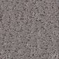 Shaw Studio Set Carpet in Fallen Acorn, , large
