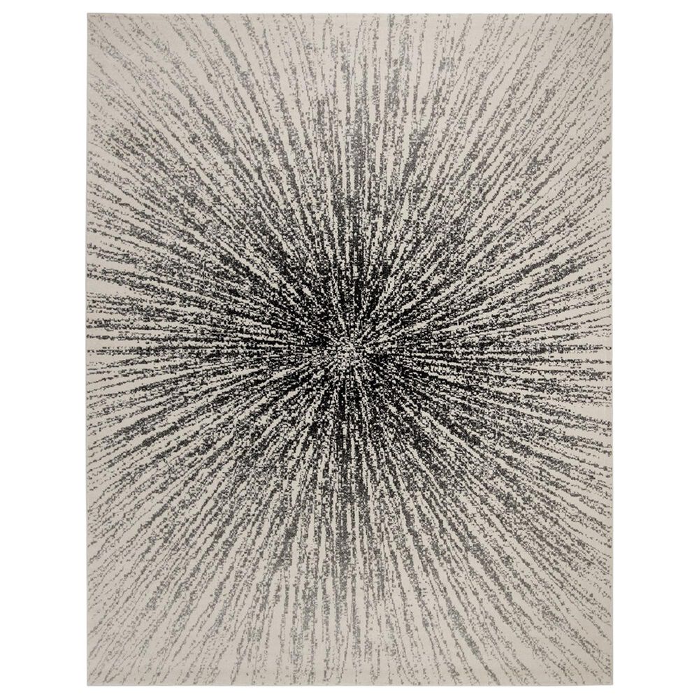 Safavieh Evoke EVK228K 10" x 14" Black and Ivory Area Rug, , large
