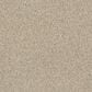Shaw Acadia Park Carpet in Clay, , large