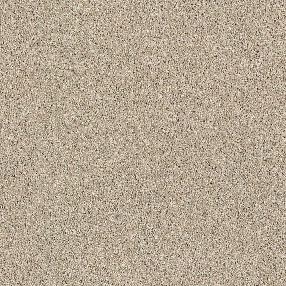 Shaw Acadia Park Carpet in Clay, , large