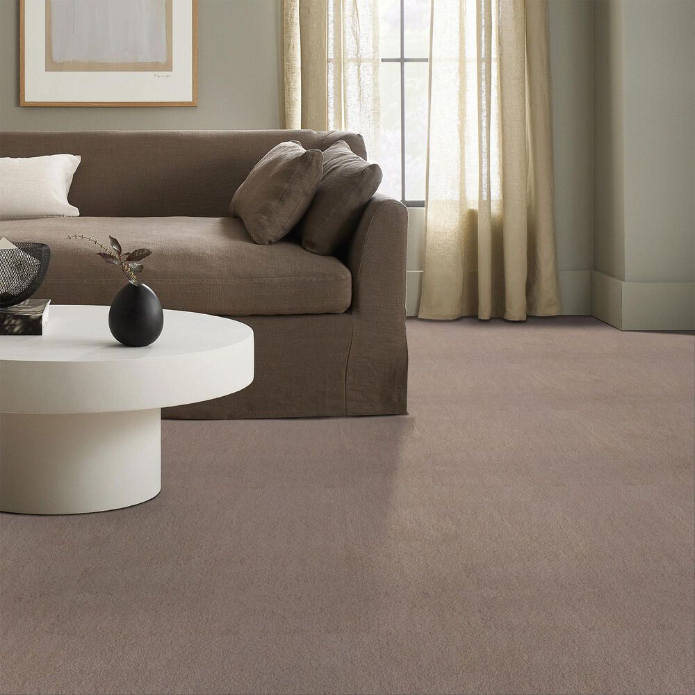 Anderson Tuftex Luxe Feel II Carpet in White Pine, , large