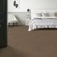 Anderson Tuftex Sneak Peek Carpet in Leather Work, , large